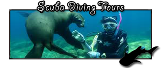 diving in La Paz Baja Mexico