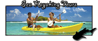 Sea Kayaking in La Paz BCS Mexico