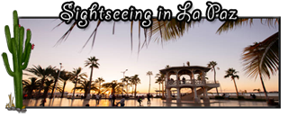 Sightseeing in La Paz Baja California Sur