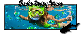 Snorkeling in La Paz Baja Mexico