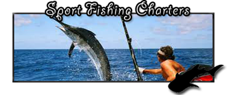 Sortfishing in La Paz Baja Mexico