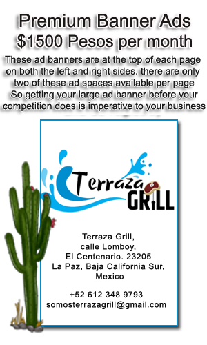 200x300 banner advertising on La Paz Travel Guide