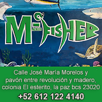 Advertising on La Paz Travel guide