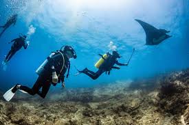 Diving in La Paz baja California Sur