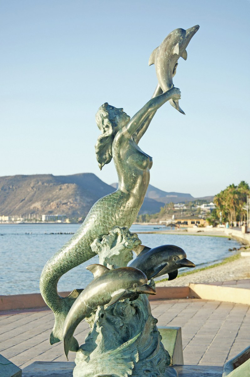 mermaid and dolphin